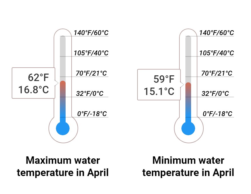 Average Sea temperature